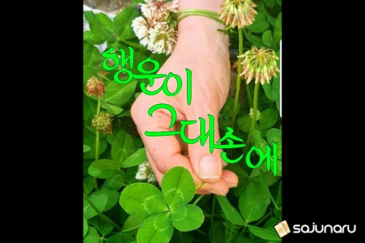 사주나루 해리포터