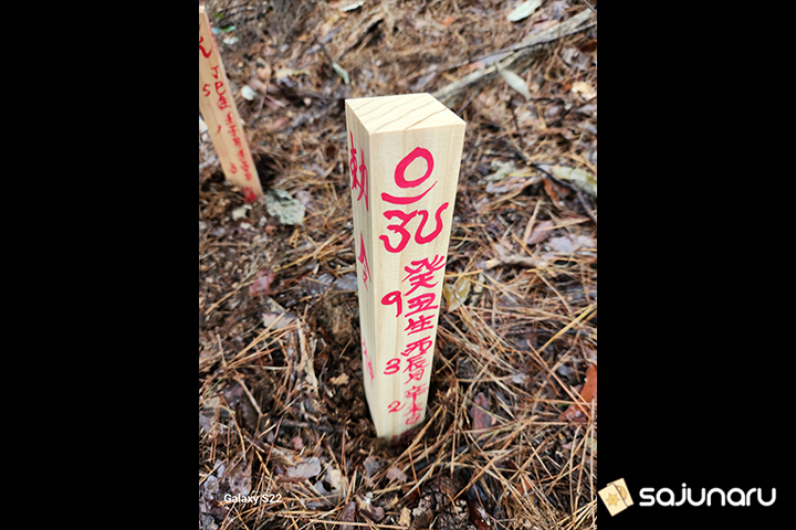 사주나루 신명궁