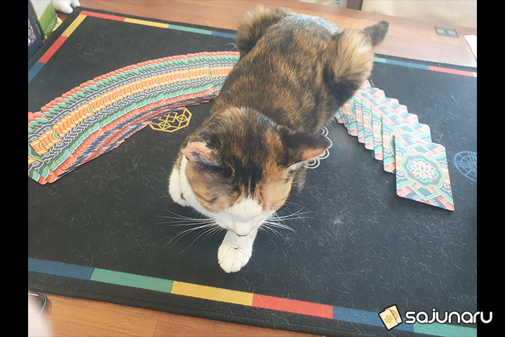 사주나루 석구씨