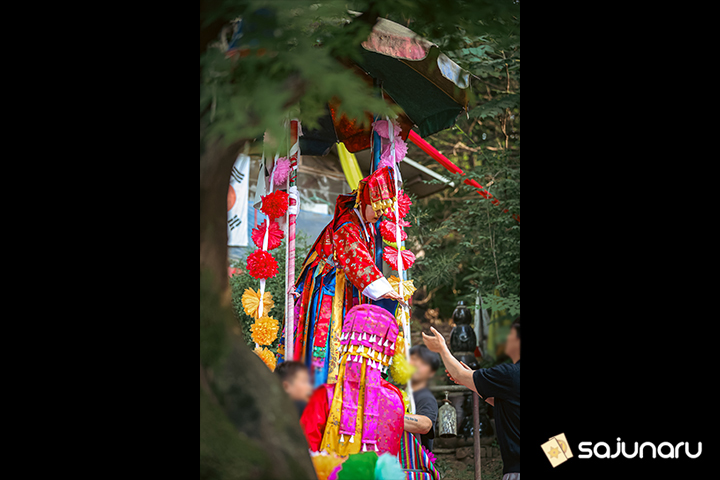 사주나루 세령