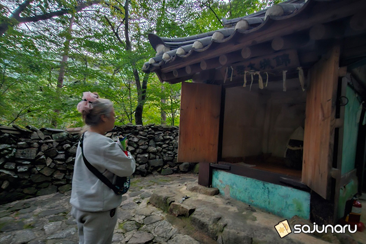 사주나루 고도리