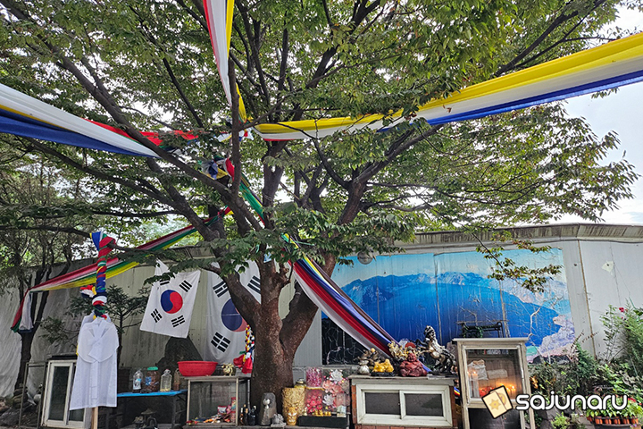 사주나루 병화