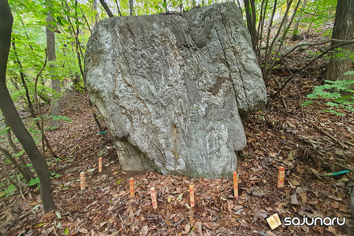 사주나루 신명궁