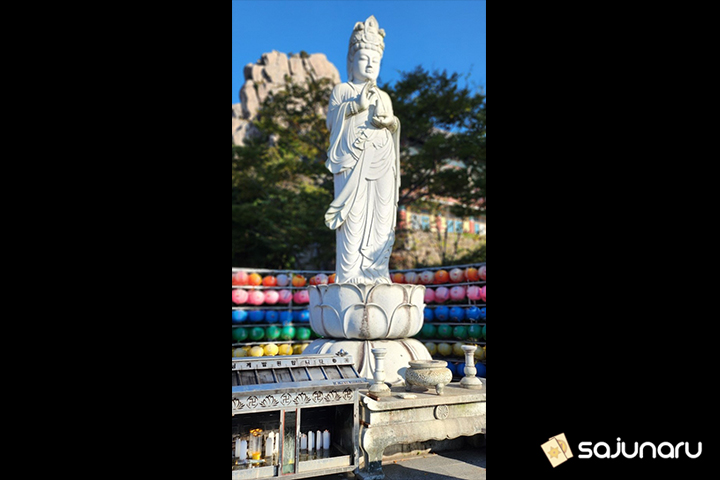 사주나루 여기다